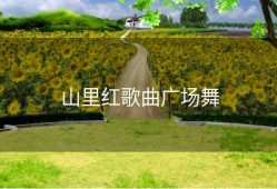 山里红歌曲广场舞