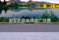 谢军的歌曲情歌广场舞