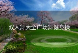 双人舞大全广场舞健身操