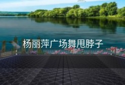 杨丽萍广场舞甩脖子