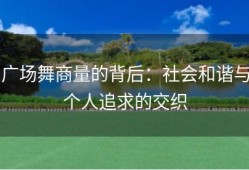 广场舞商量的背后：社会和谐与个人追求的交织