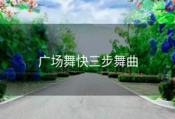 广场舞快三步舞曲