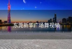 东莞新华广场舞视频