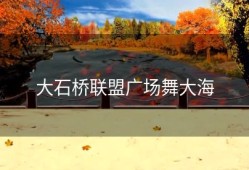 大石桥联盟广场舞大海