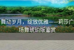舞动岁月，绽放优雅——莉莎广场舞琥珀版鉴赏