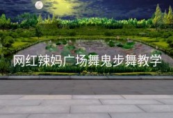 网红辣妈广场舞鬼步舞教学