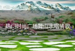 热门时尚广场舞山水唱情歌