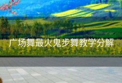 广场舞最火鬼步舞教学分解