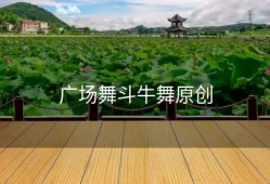 广场舞斗牛舞原创