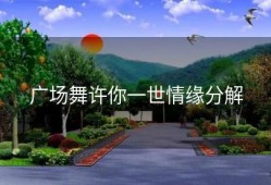 广场舞许你一世情缘分解