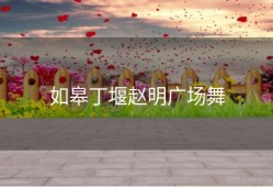 如皋丁堰赵明广场舞