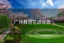 广场舞荷花颂背面