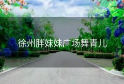 徐州胖妹妹广场舞青儿