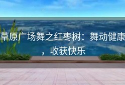草原广场舞之红枣树：舞动健康，收获快乐