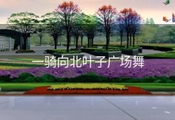 一骑向北叶子广场舞