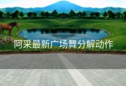 阿采最新广场舞分解动作