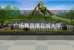 广场舞直播盐城大学