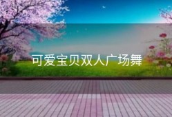 可爱宝贝双人广场舞