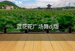 蓝花花广场舞dj版