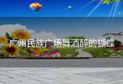 广州民族广场舞酒醉的蝴蝶
