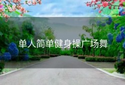 单人简单健身操广场舞