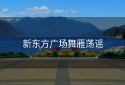 新东方广场舞雁荡谣