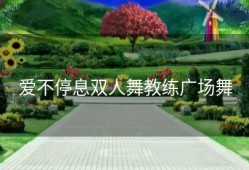 爱不停息双人舞教练广场舞