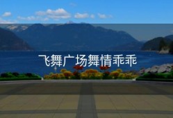 飞舞广场舞情乖乖