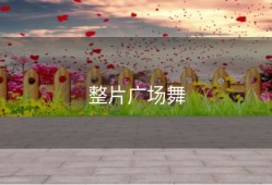 整片广场舞