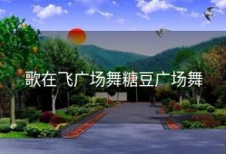 歌在飞广场舞糖豆广场舞