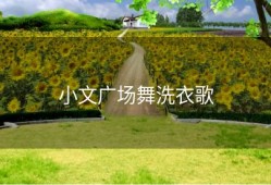 小文广场舞洗衣歌