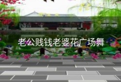 老公贱钱老婆花广场舞