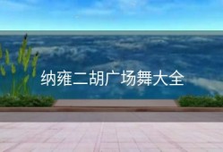 纳雍二胡广场舞大全