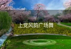 上党风韵广场舞