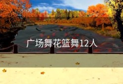 广场舞花篮舞12人