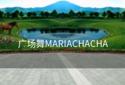 广场舞MARIACHACHA