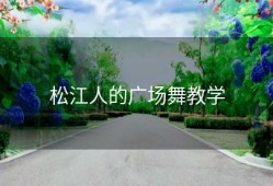 松江人的广场舞教学