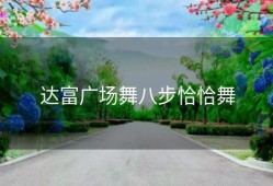 达富广场舞八步恰恰舞