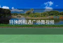 特殊的相遇广场舞视频