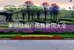 美丽姑娘广场舞歌词大全