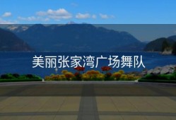 美丽张家湾广场舞队