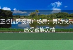 正点拉萨夜雨广场舞：舞动快乐，感受藏族风情