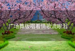 广场舞版唱着情歌流眼泪