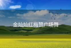 金灿灿红梅赞广场舞