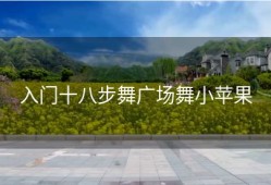 入门十八步舞广场舞小苹果