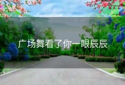 广场舞看了你一眼辰辰