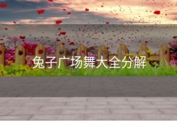 兔子广场舞大全分解