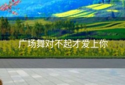 广场舞对不起才爱上你