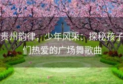 贵州韵律，少年风采：探秘孩子们热爱的广场舞歌曲