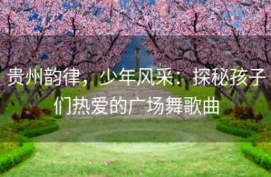 贵州韵律，少年风采：探秘孩子们热爱的广场舞歌曲
